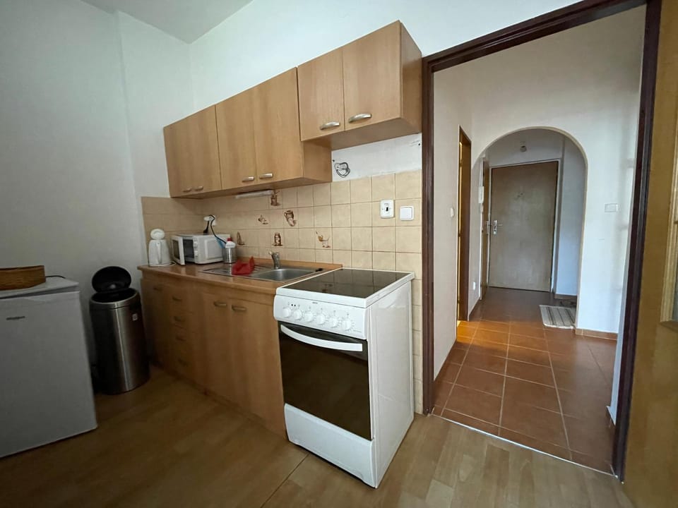 PRO family simple Apartment in Saxony