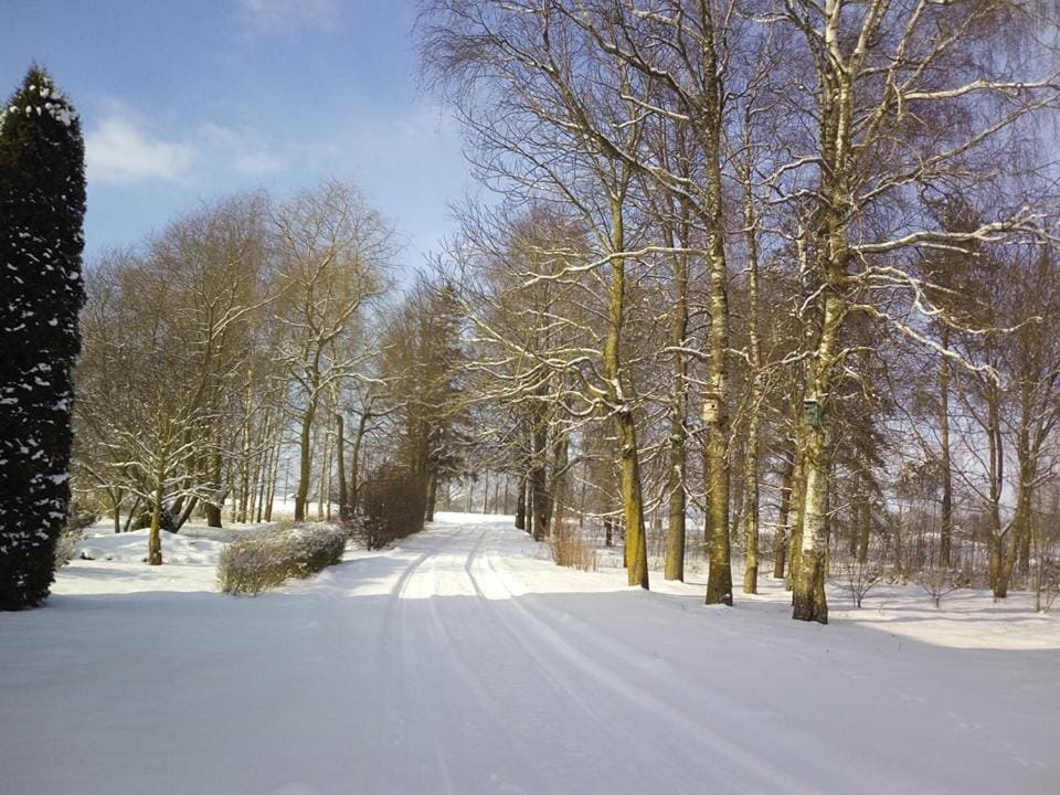 Natural landscape, Winter