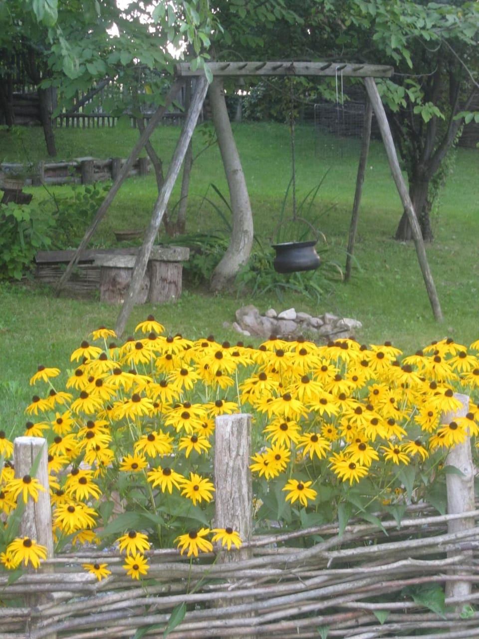 Garden view
