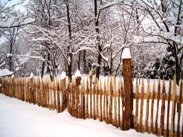 Winter