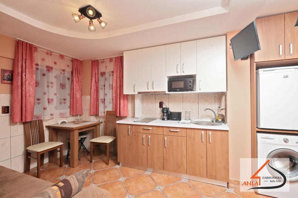 Garsoniera Ania Baile Felix Apartment in Hungary