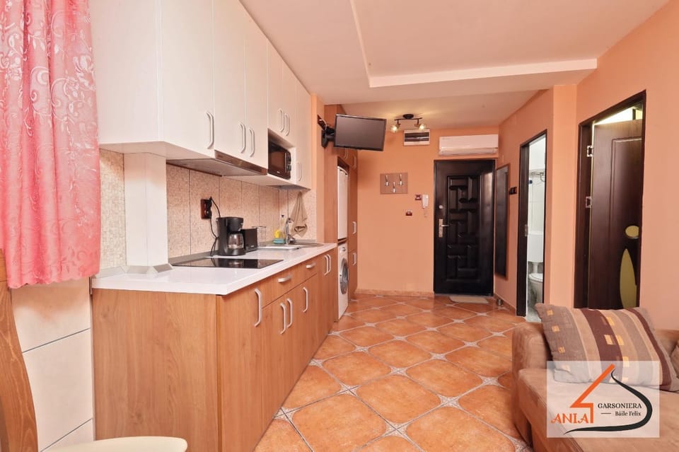 Garsoniera Ania Baile Felix Apartment in Hungary