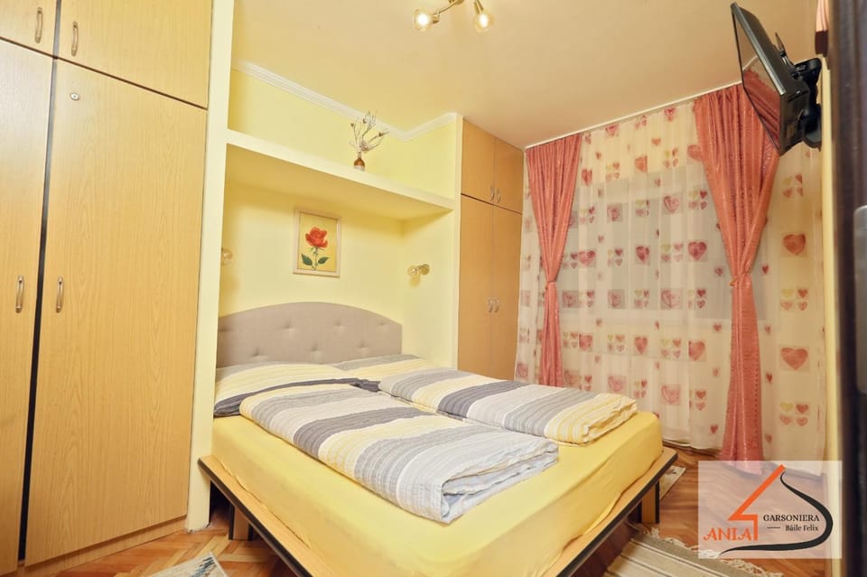 Garsoniera Ania Baile Felix Apartment in Hungary