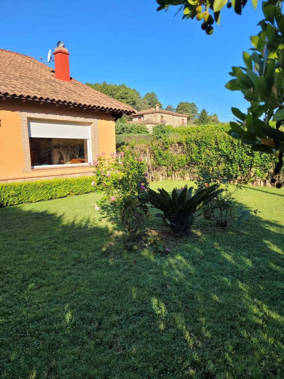 Casa de campo Aires de Gredos House in Candeleda