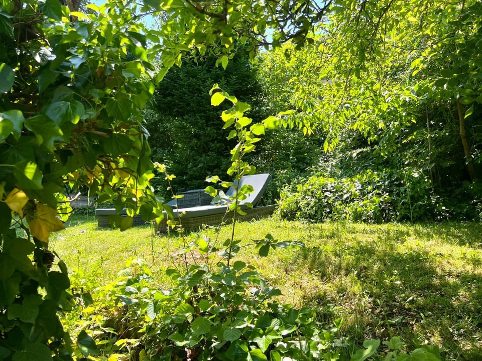 Spring, Day, Natural landscape, Garden, Garden view