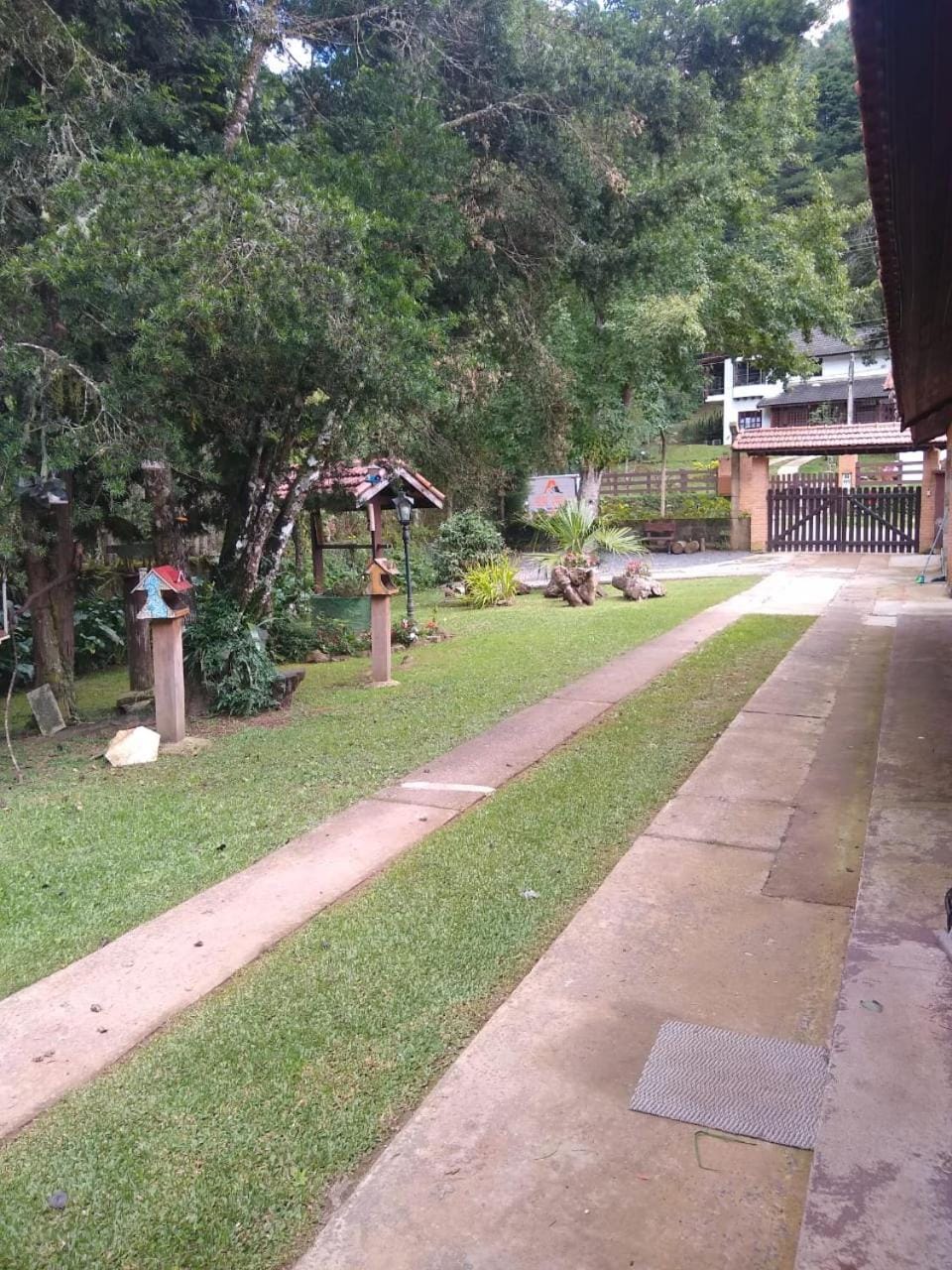 Natural landscape, Garden, Garden view