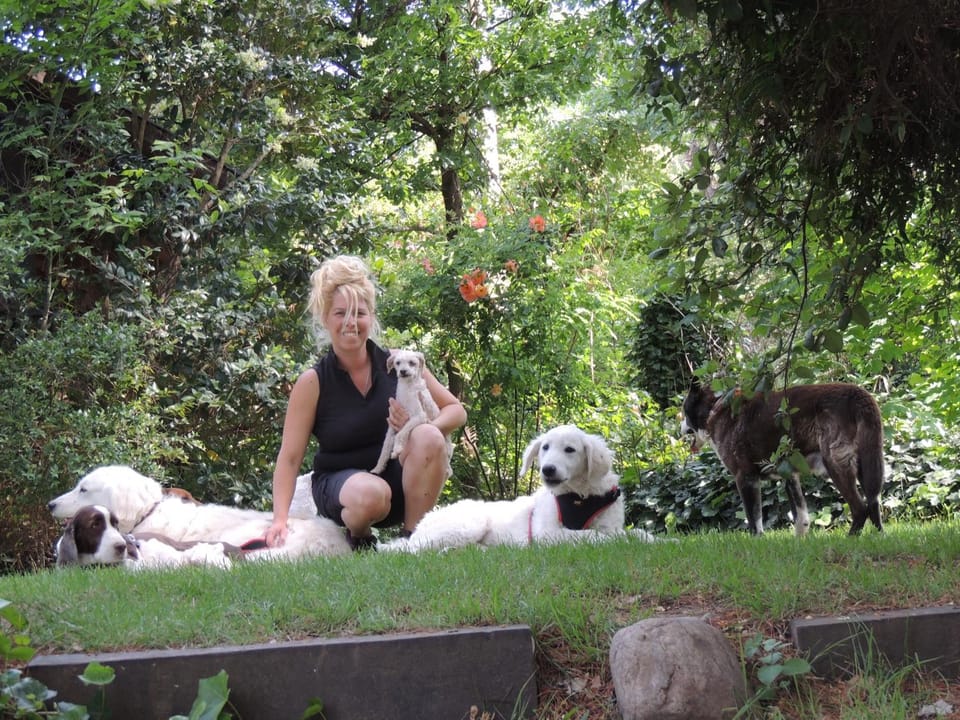 Pets, children, Family