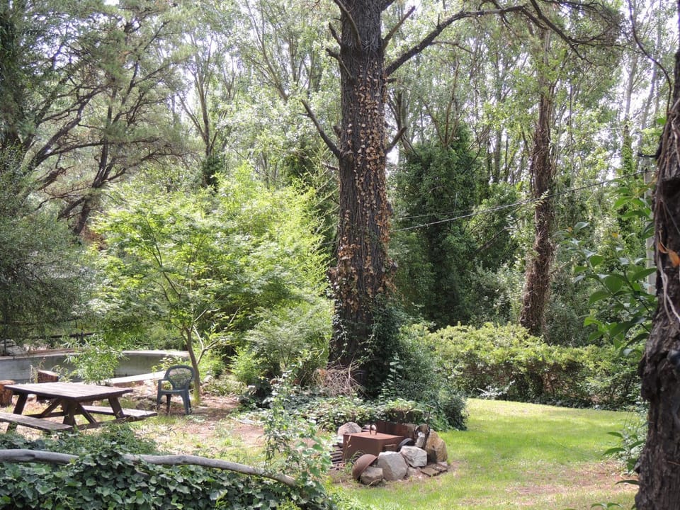 Natural landscape, Garden