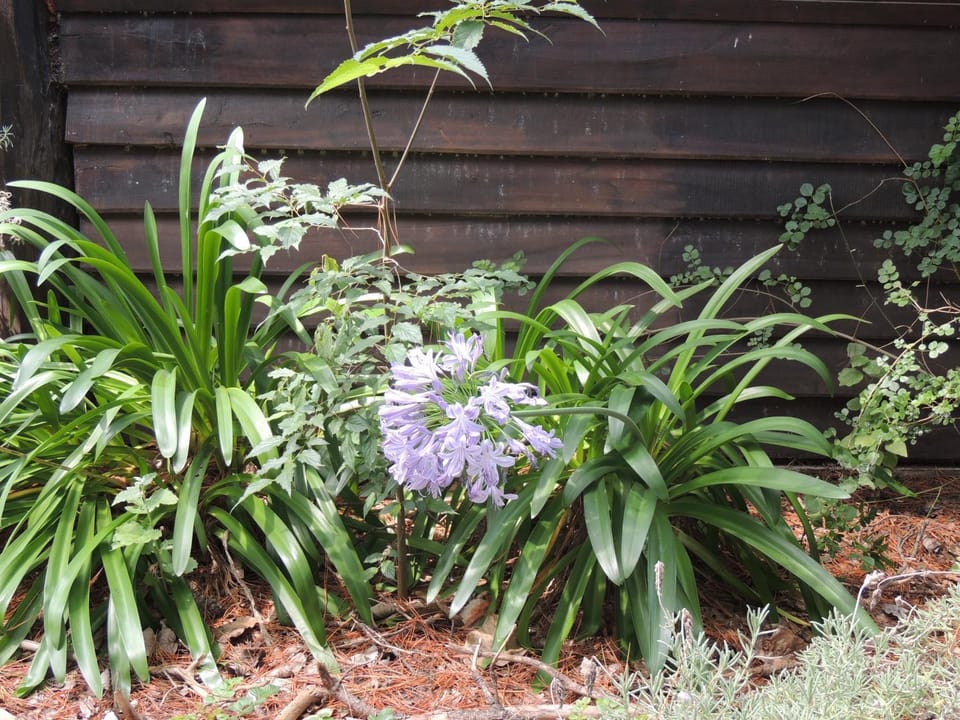 Property building, Garden, Garden view, Parking