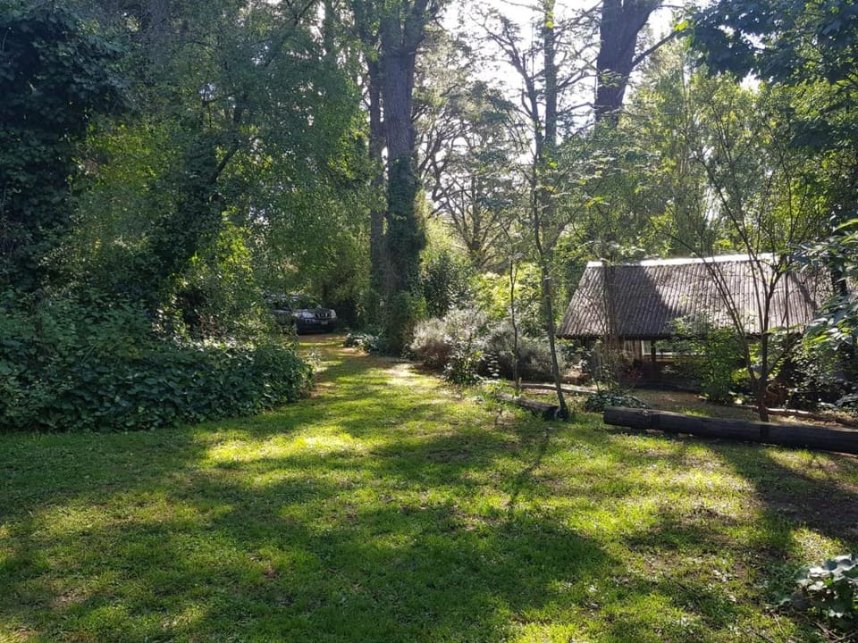 Property building, Natural landscape, Garden