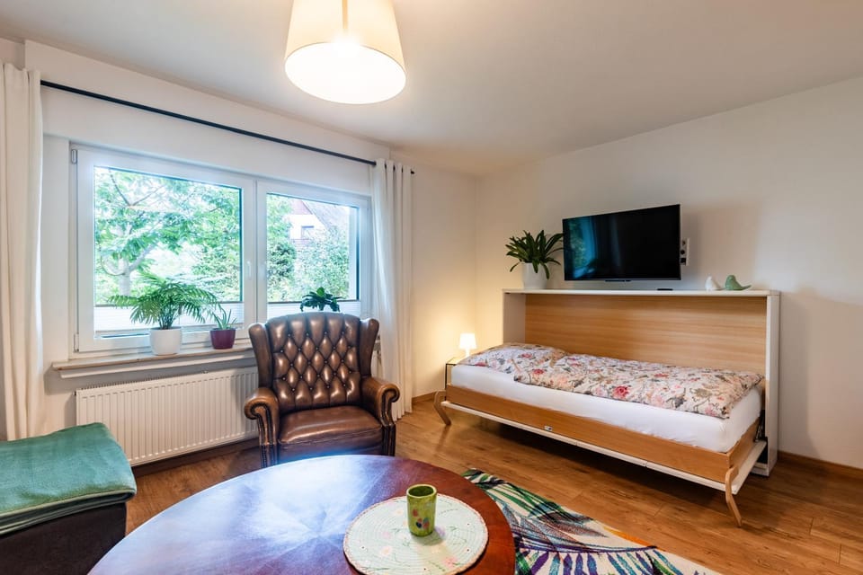 Bed, TV and multimedia, Living room, Photo of the whole room, Evening entertainment