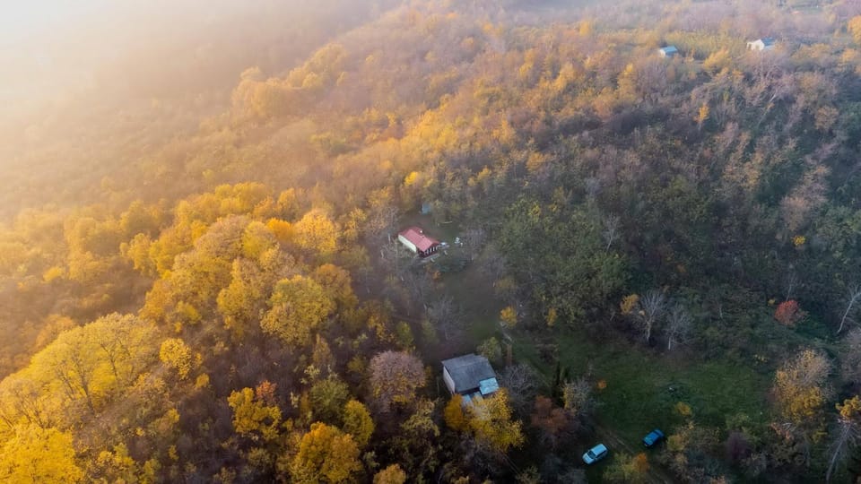 Holiday home Nanin konak 2 House in Vojvodina