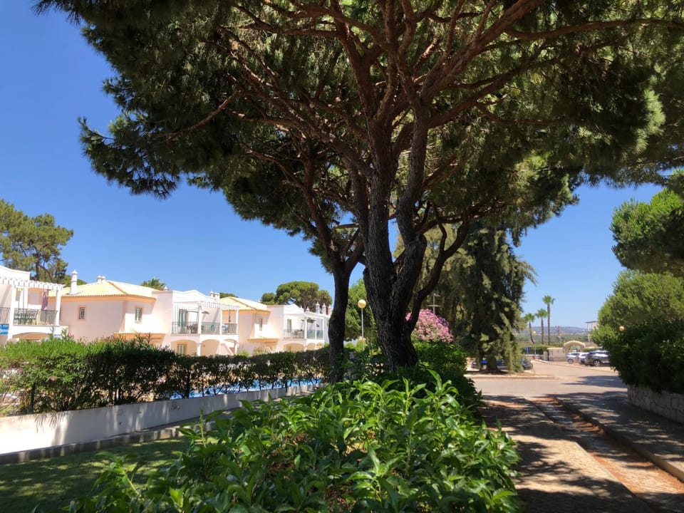 Neighbourhood, Quiet street view