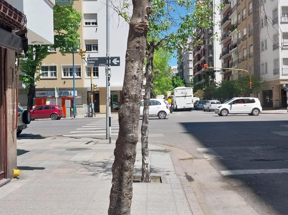 Neighbourhood