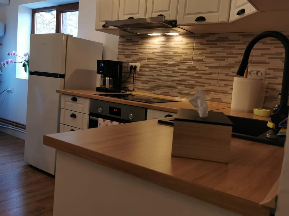 Rivr House Bucovina Vacation rental in Romania