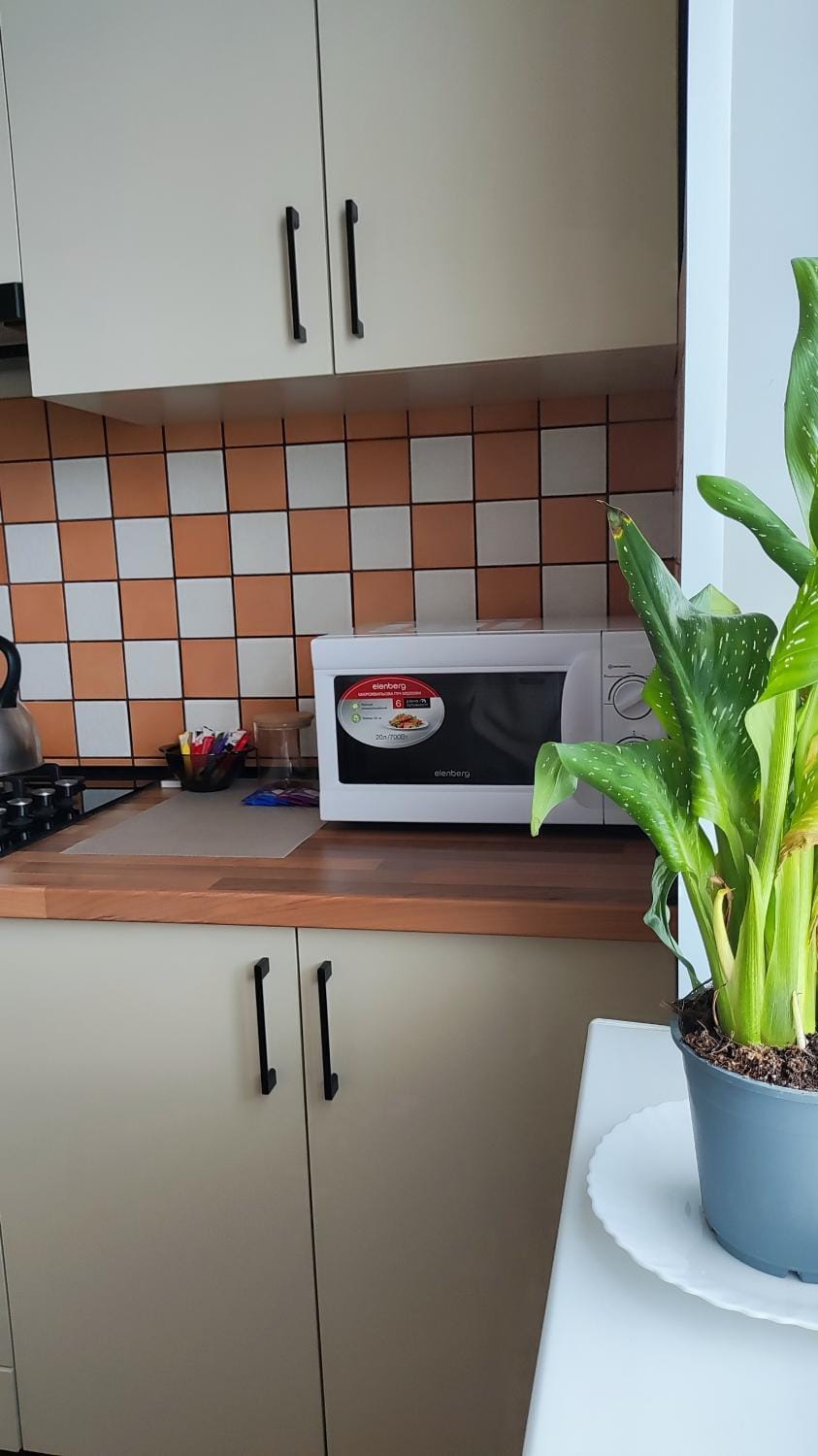 Coffee/tea facilities, Kitchen or kitchenette, stove
