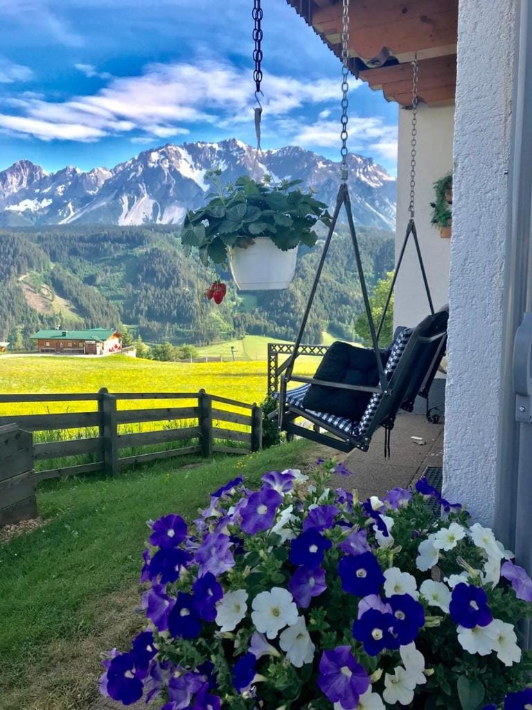 Garden, Mountain view