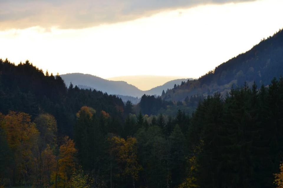 gîte de la cheneau House in Gérardmer