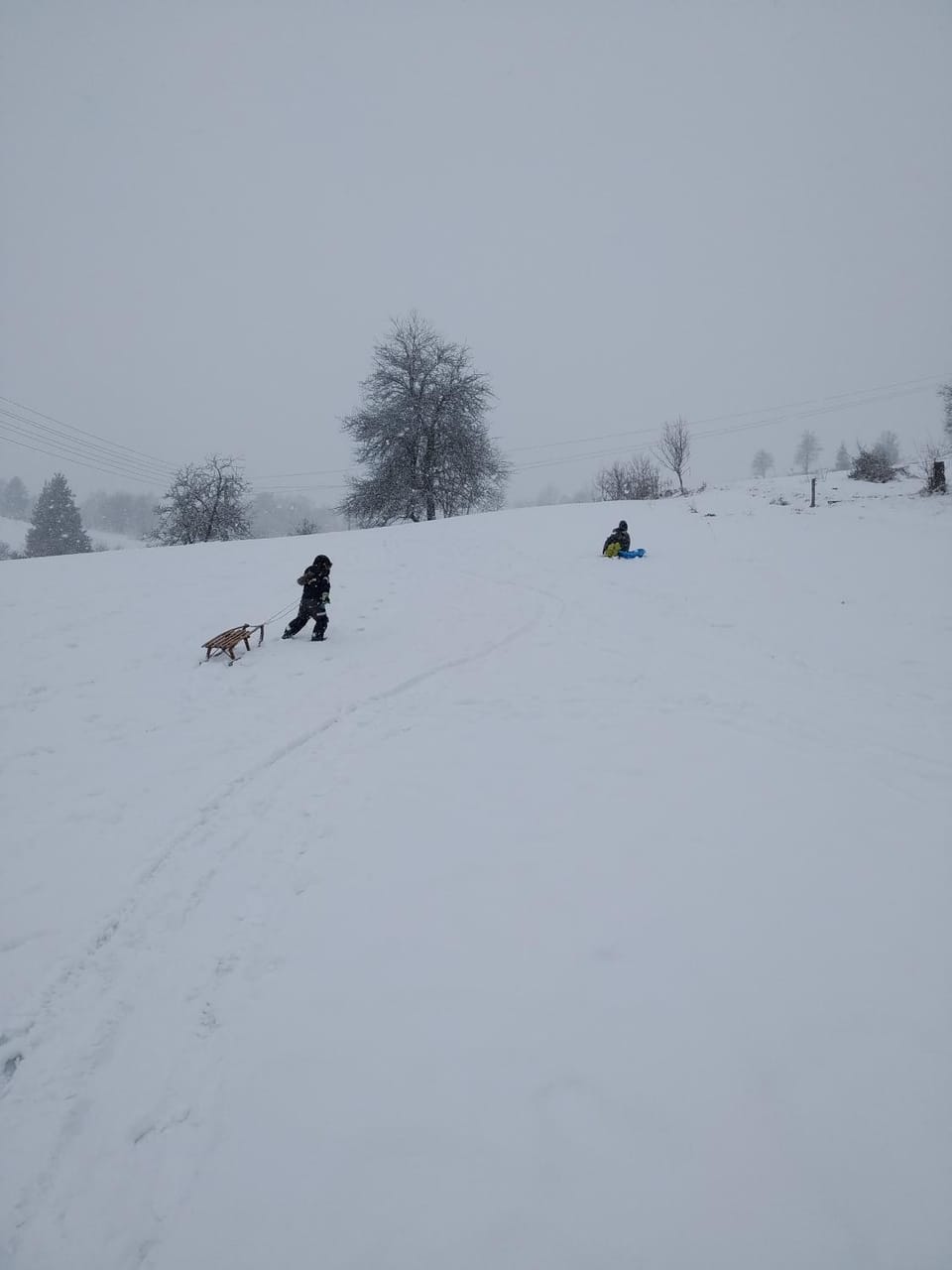 Winter