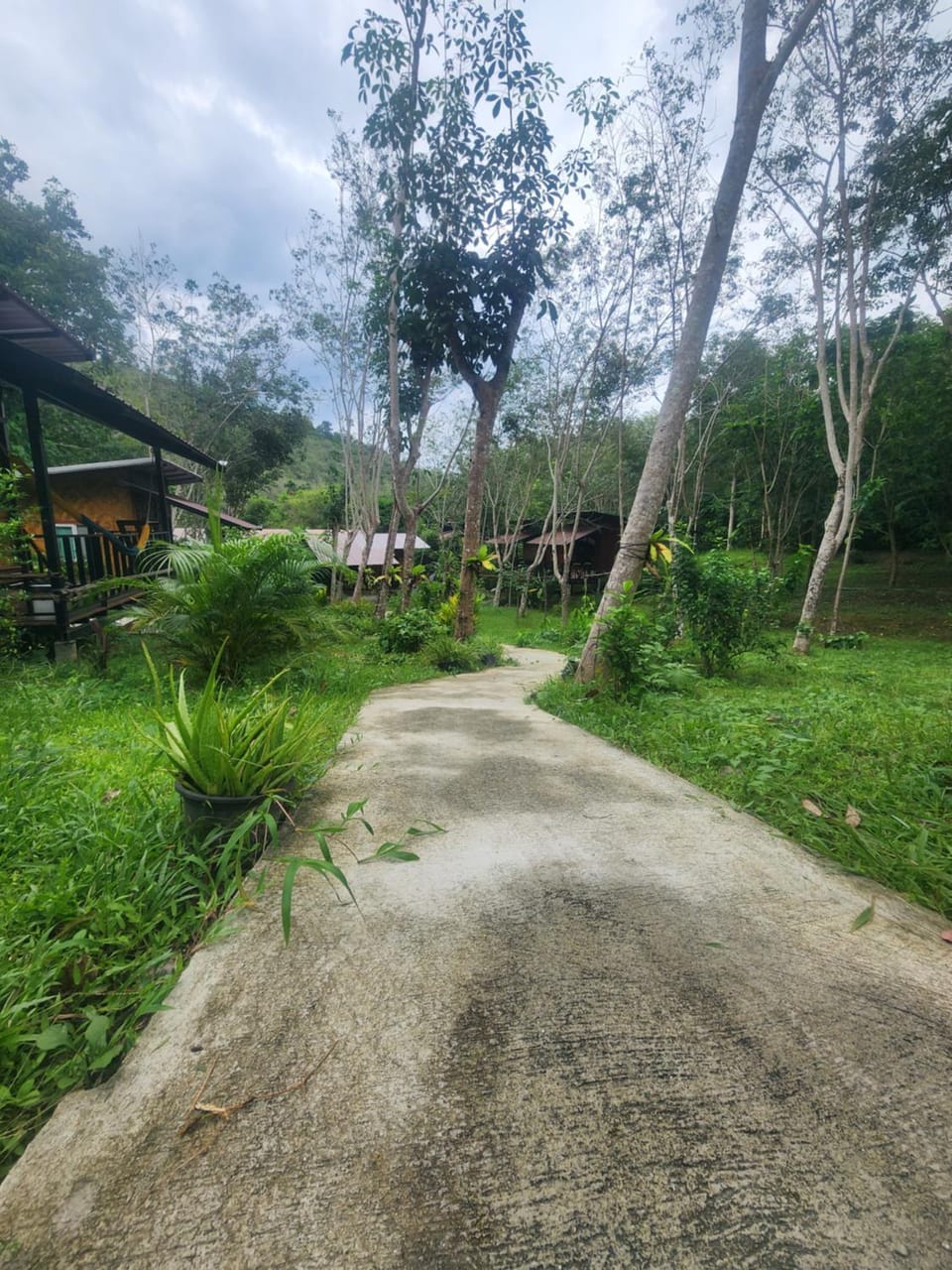 Natural landscape