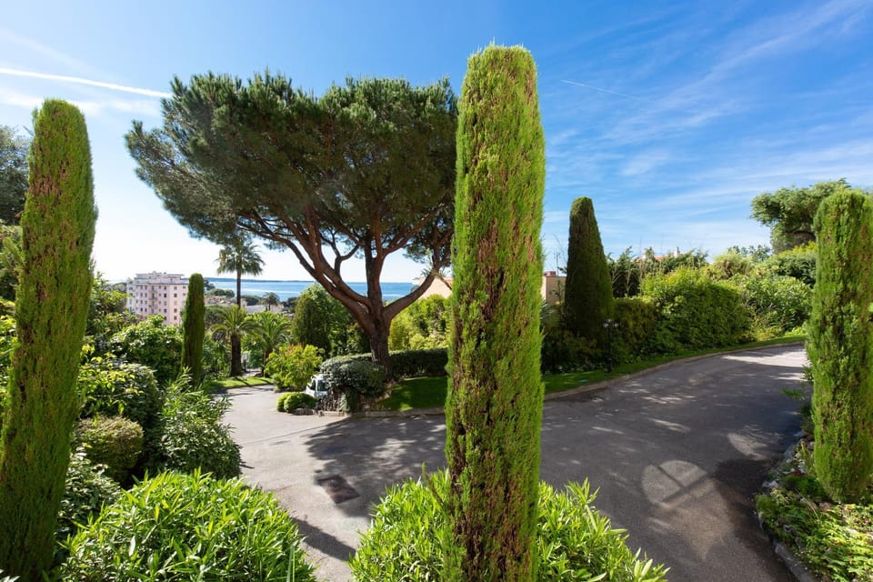 Cozy studio with sea view, swimming pool and greenery Apartment in Cannes