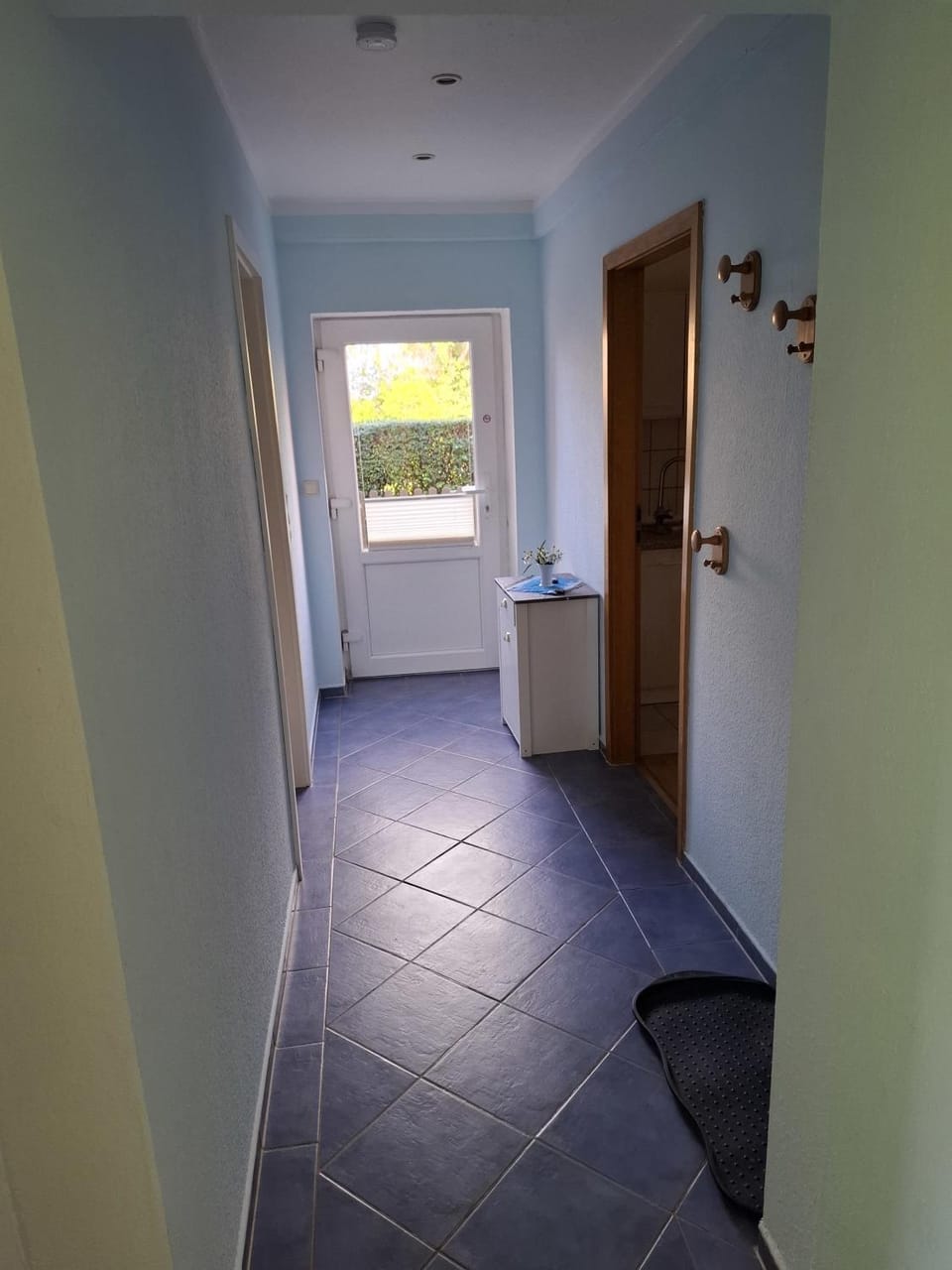 Ferienwohnung Carstens Apartment in Ostholstein