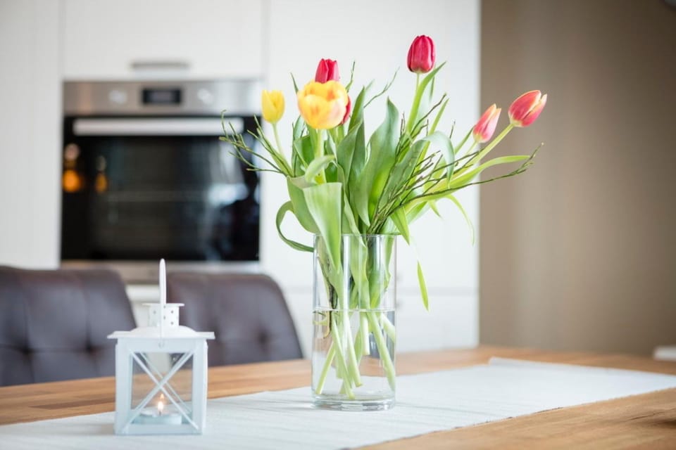 Ferienhaus Seewind House in Ostholstein