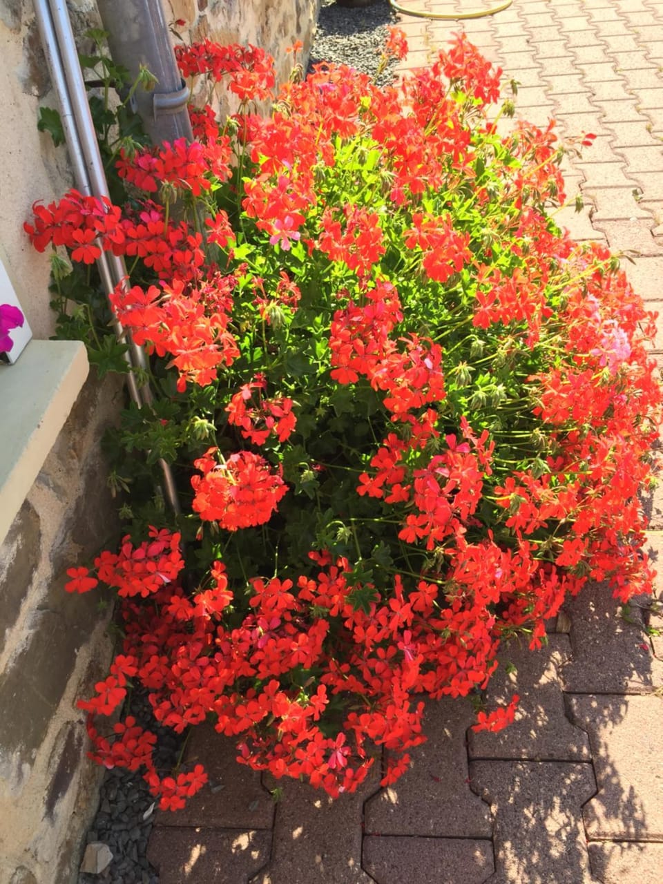 La Morinais House in Brittany