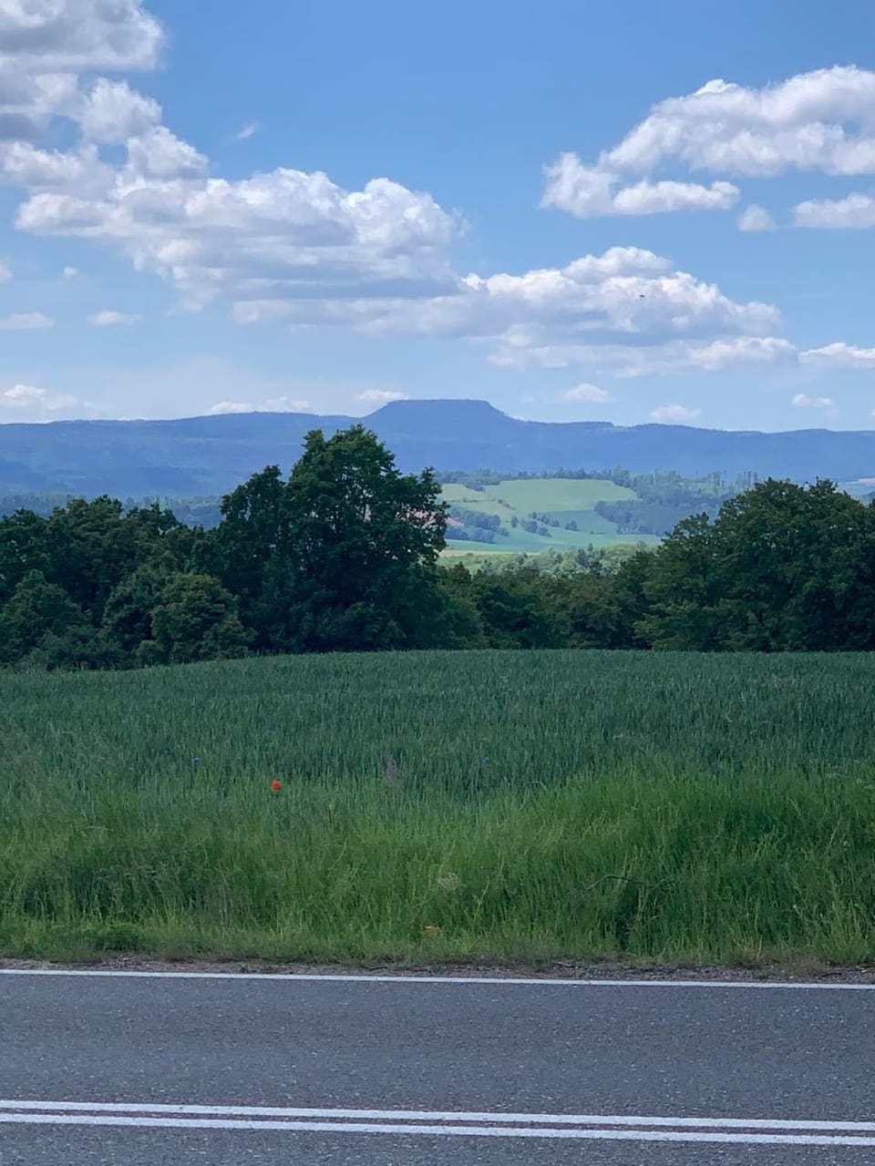 Nearby landmark, Spring, Mountain view