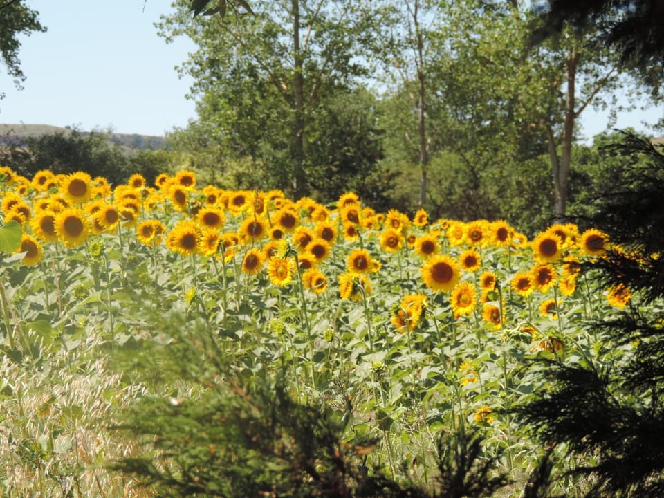 Natural landscape