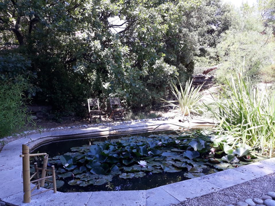Natural landscape