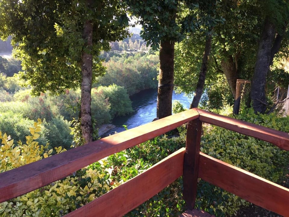 Balcony/Terrace, River view