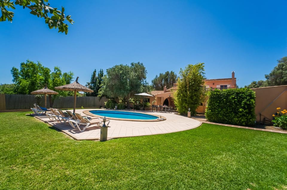 Patio, Garden, Garden view