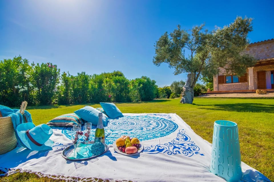 Patio, Garden, Garden view
