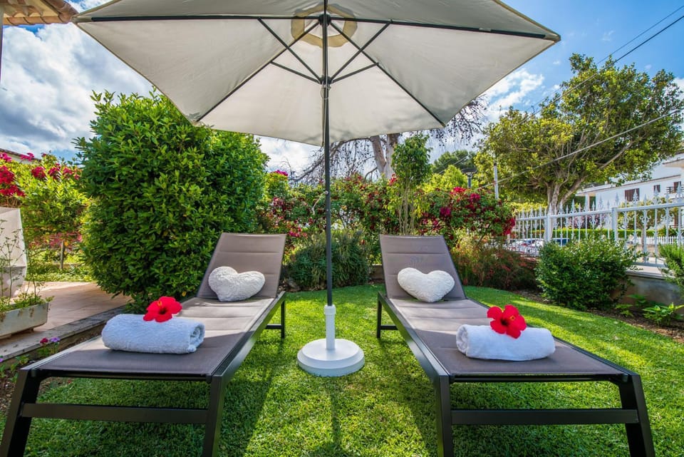 Patio, Garden, Garden view
