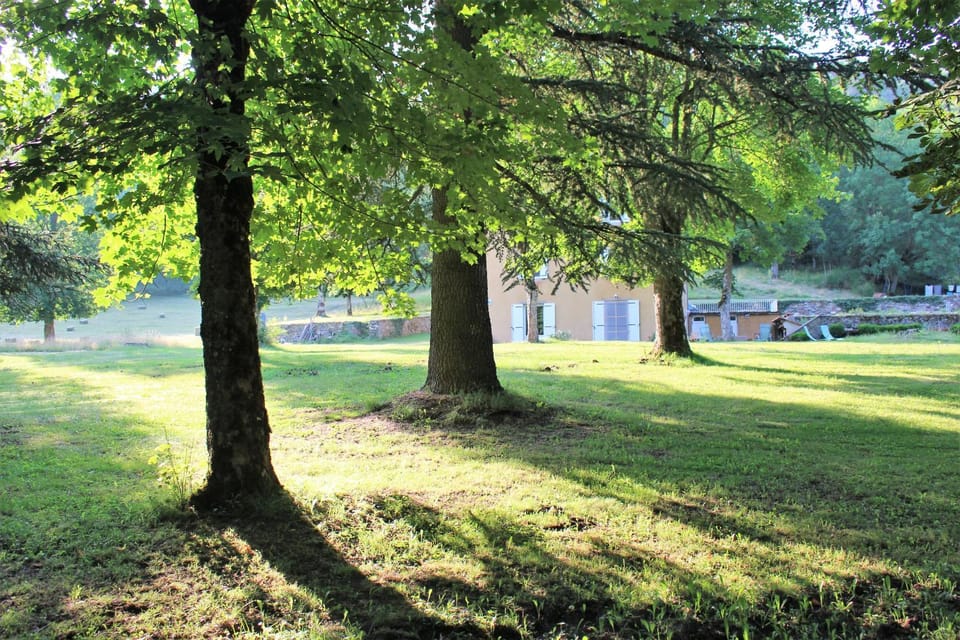 Natural landscape, Garden, Hiking