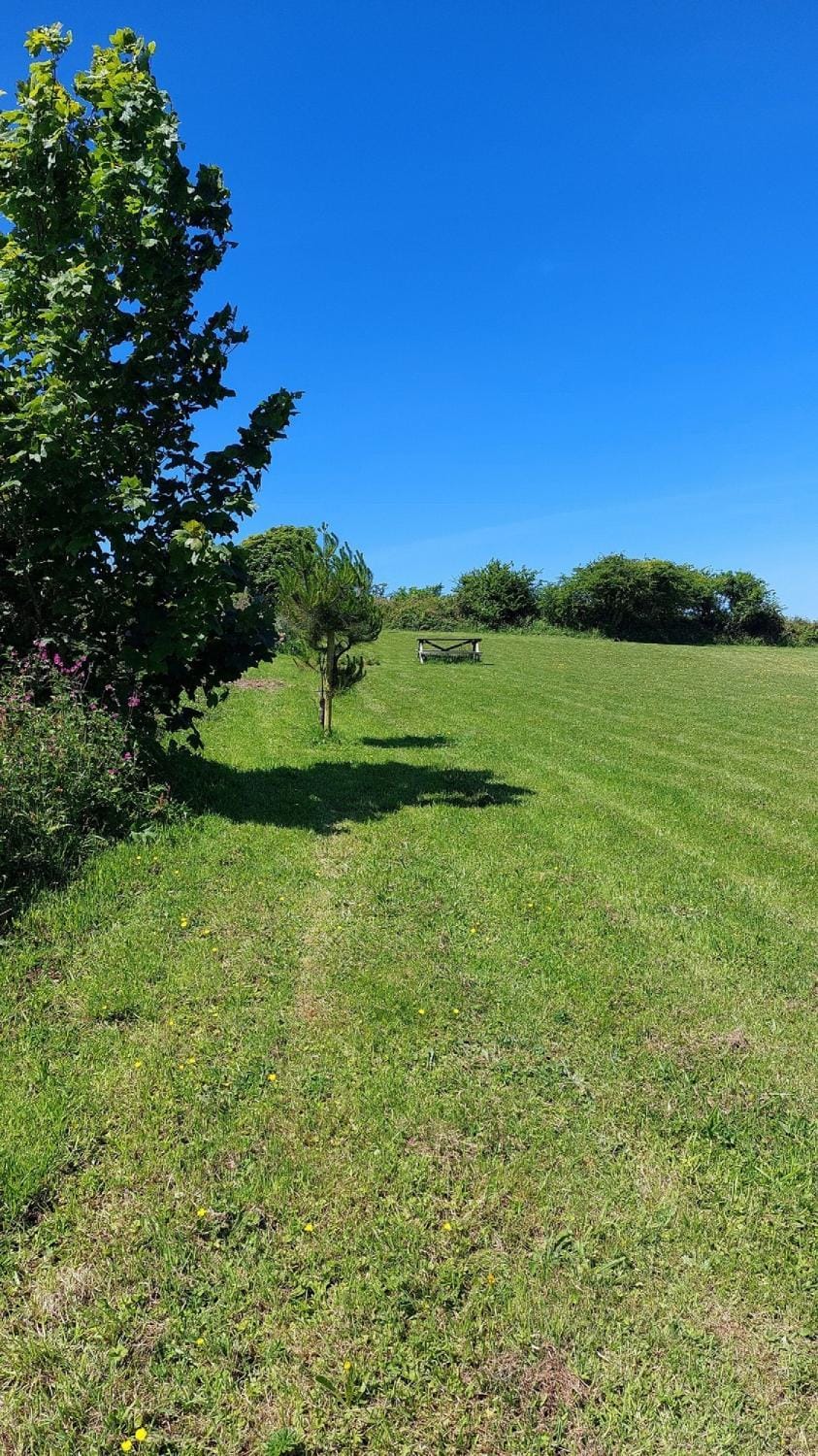 Natural landscape, Garden