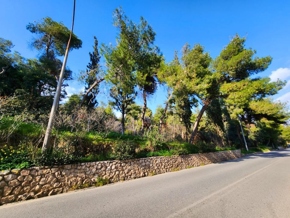 Neighbourhood, Natural landscape