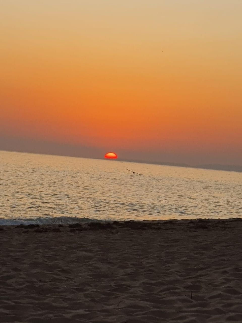 Off site, Natural landscape, Summer, Beach, Hiking, Sunset