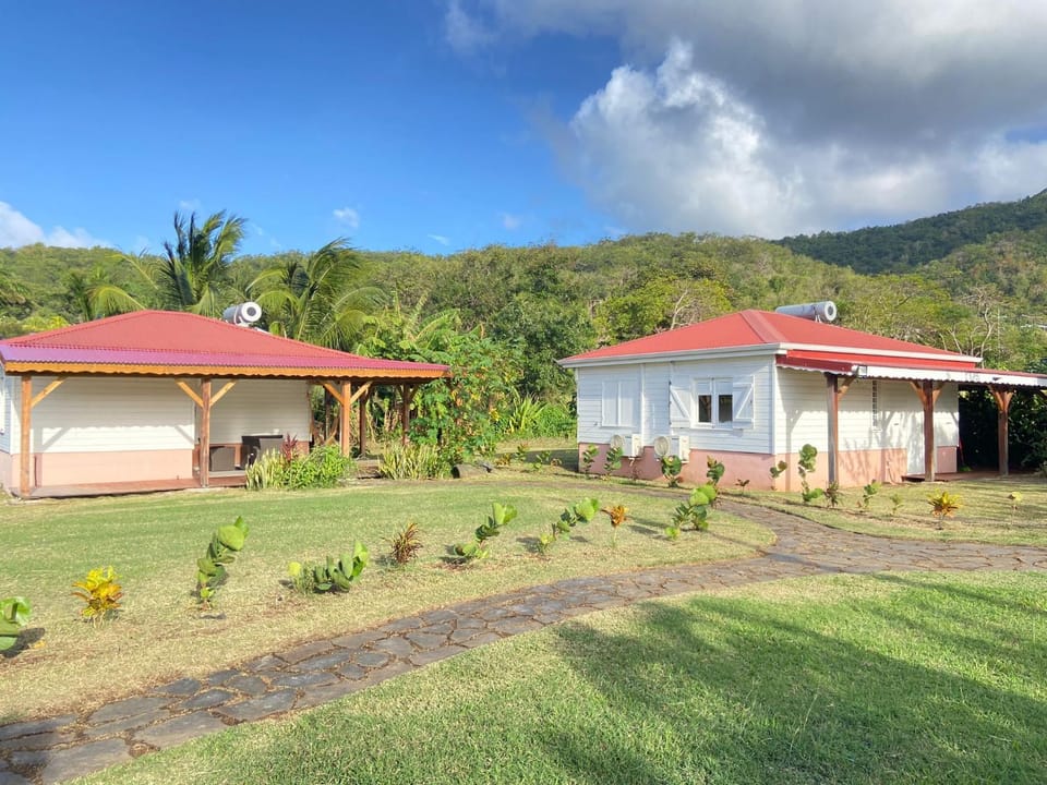 Property building, Garden, Garden