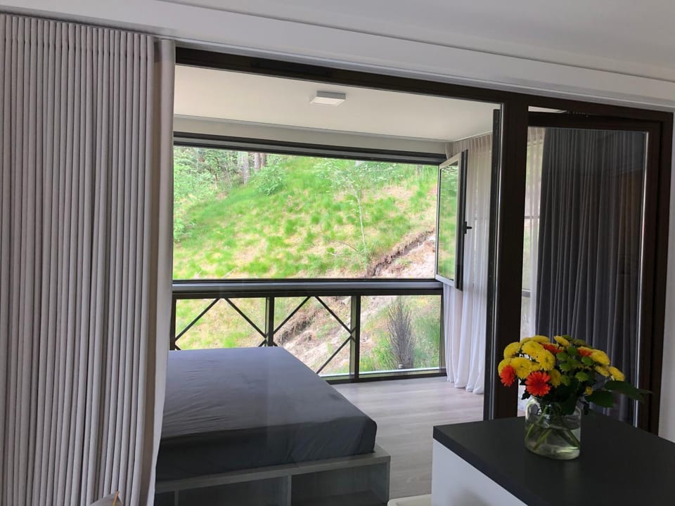 Private Home “Vilnelė” Apartment in Klaipėda County, Lithuania