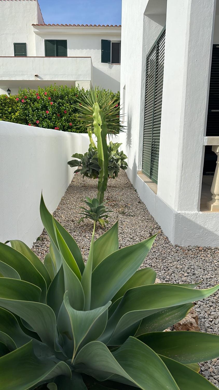 VILLA PIÑUELO (RELAX EN EL PARAÍSO). House in Balearic Islands