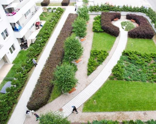 Bird's eye view