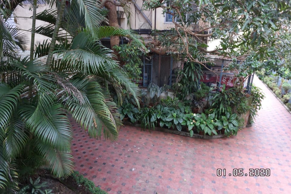 Facade/entrance, Garden