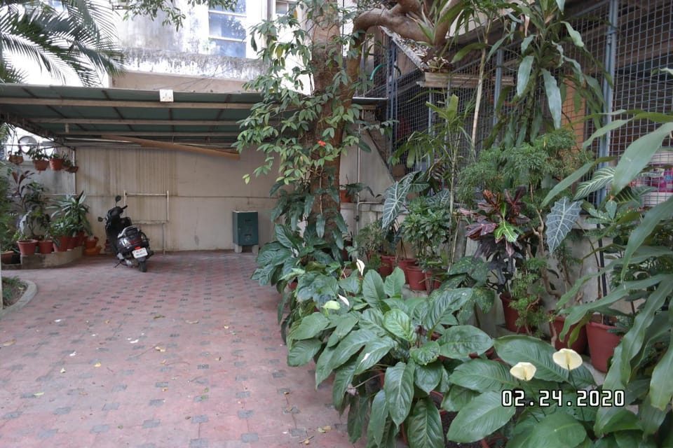 Facade/entrance, Garden, Garden view