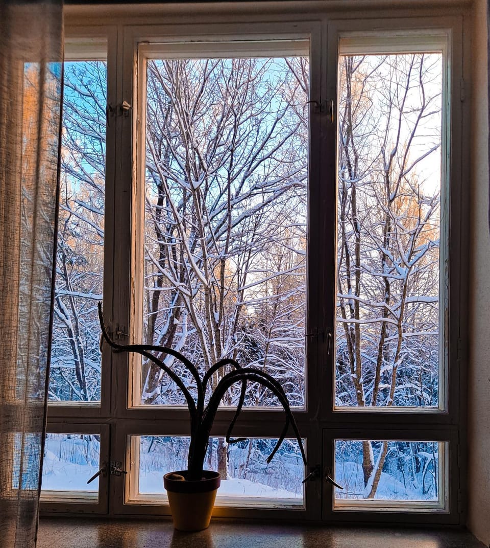 Winter, View (from property/room)