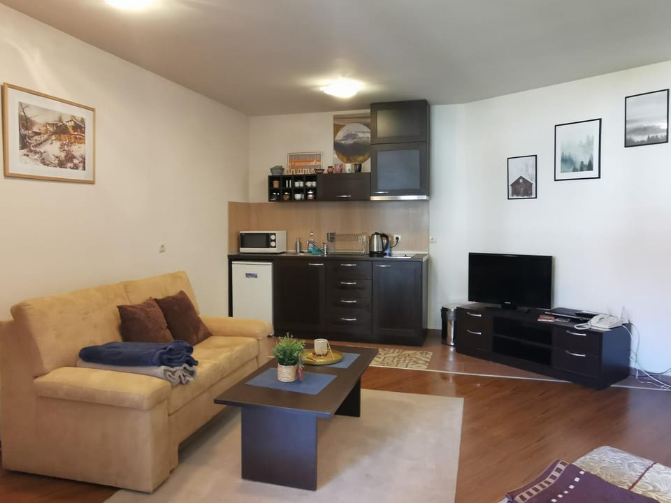 Communal lounge/ TV room, TV and multimedia, Kitchen or kitchenette, Living room, Seating area, Evening entertainment, minibar