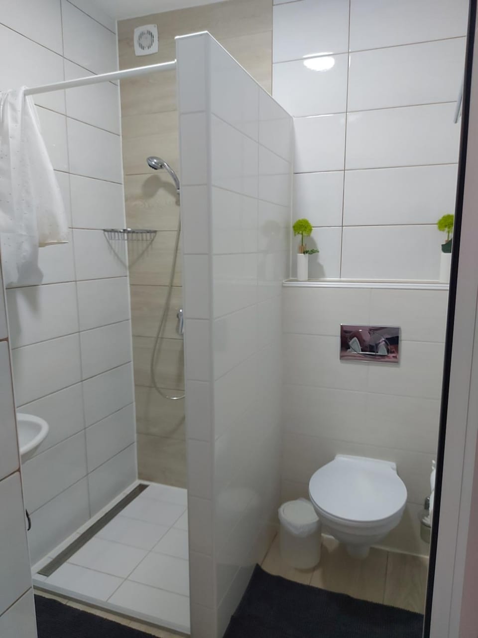Ferienhaus Bozena Appartment 3 Apartment in Istria County