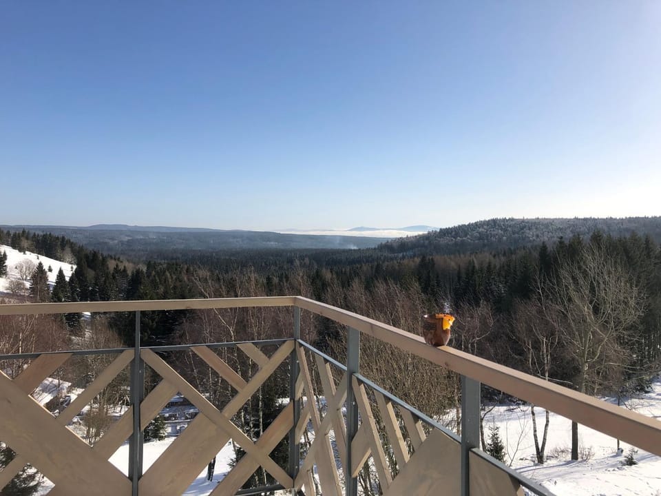 Balcony/Terrace, Mountain view