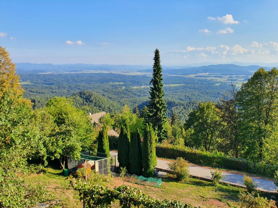 View (from property/room), Garden view, Landmark view